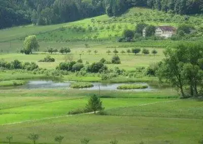 Owingen Sielmann Weiher